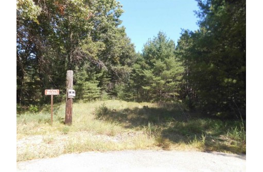 33.79 AC Highway 73, Neshkoro, WI 54960