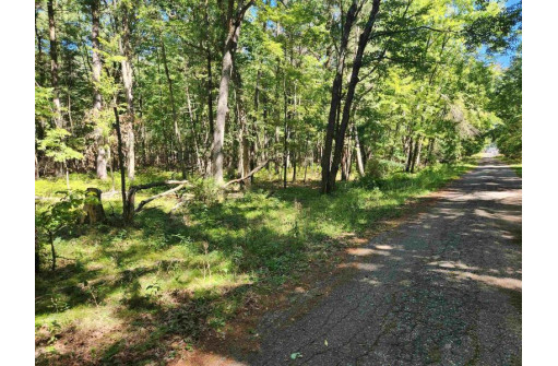 8.93 AC Kossuth Street, Wisconsin Dells, WI 53965