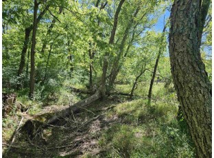 29.5 ACRES Wisconsin River Friendship, WI 53934