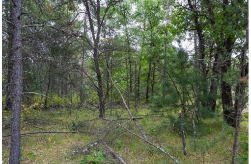 20 AC 28th Street, Necedah, WI 54646