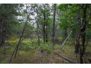 20 AC 28th Street, Necedah, WI 54646