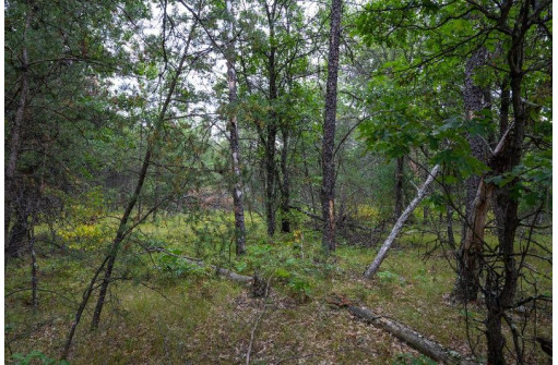 20 AC 28th Street, Necedah, WI 54646