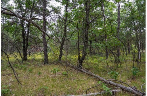 20 AC 28th Street, Necedah, WI 54646