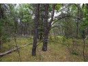 20 AC 28th Street, Necedah, WI 54646