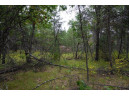 20 AC 28th Street, Necedah, WI 54646