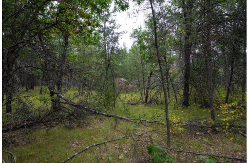 20 AC 28th Street, Necedah, WI 54646