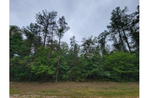 LOT 107 Sunset Ridge Road, Friendship, WI 53934