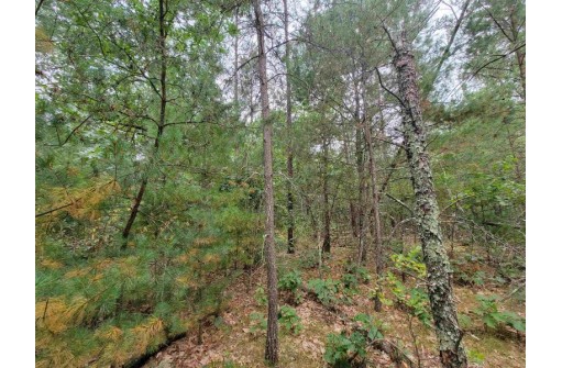 LOT 107 Sunset Ridge Road, Friendship, WI 53934