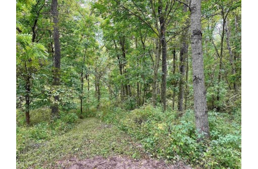 0000 Turkey Run Road, Ferryville, WI 54628