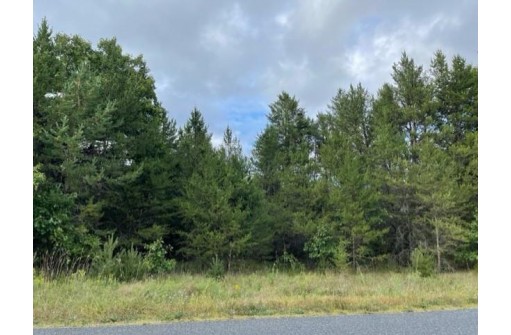 7.5AC Gulch Avenue, Wisconsin Dells, WI 53965