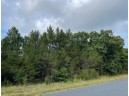 7.5AC Gulch Avenue, Wisconsin Dells, WI 53965