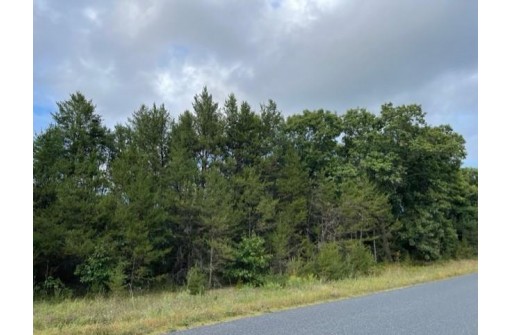 7.5AC Gulch Avenue, Wisconsin Dells, WI 53965