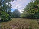 LOT 30 Fern Lane, Oxford, WI 53952