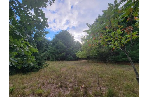 LOT 30 Fern Lane, Oxford, WI 53952