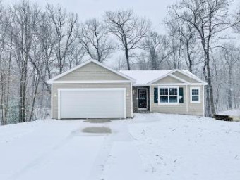 23205 Quail Court Pierson, MI 49339