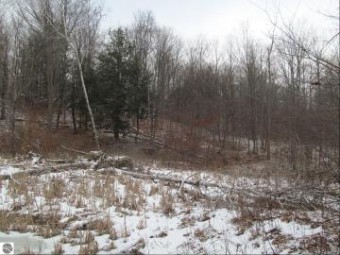 10 ACRES N 23 Road Mesick, MI 49668