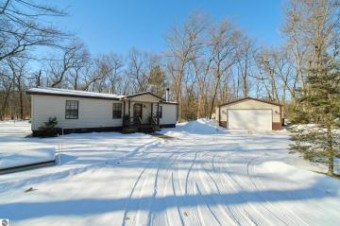 424 N Tippy Dam Road Wellston, MI 49689