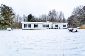 8281 Ravenswood Goodells, MI 48027