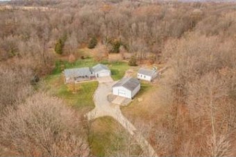 64230 Norton Road Jones, MI 49061