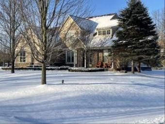 11589 Wellington Court Stanwood, MI 49346