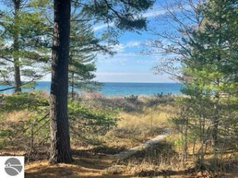 17 Beach Comber THE HOMESTEAD Glen Arbor, MI 49636