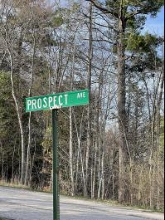 Prospect Avenue Onekama, MI 49675
