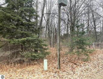 LOT A Se Torch Lake Drive Alden, MI 49612