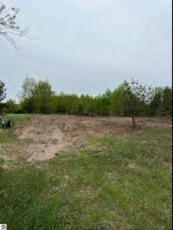 LOT 8 Lakeshore Drive Buckley, MI 49620