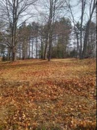 LOT 10 Reynard Drive Mio, MI 48647