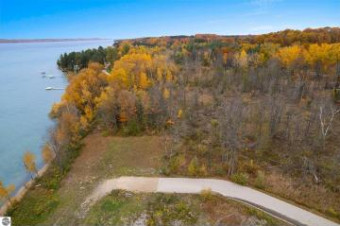 LOT 12 Se Torch Lake Drive Alden, MI 49612