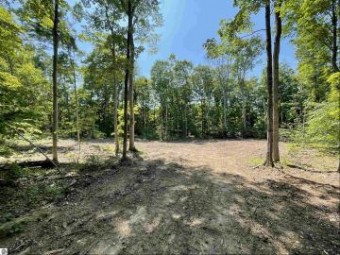 LOT 16 S Fairway Drive Cedar, MI 49621