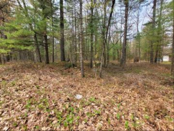 Nature Lane LOT 13 Ocqueoc, MI 49759