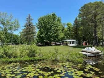 5331 Birch Island Drive Barryton, MI 49305