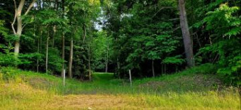 5 ACRES W Deer Road Mears, MI 49436