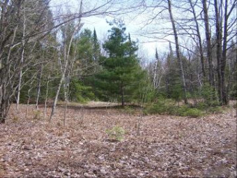 Mast Point Road 40 ACRES Ocqueoc, MI 49759