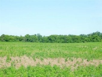 00 Cemetery Fowlerville, MI 48836