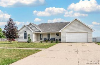 520 Danfield Blissfield, MI 49228