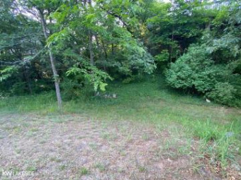 LOT 6 Oak Point Dr. Caseville, MI 48725