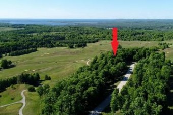 LOT 14 Heather Ridge Trail Beulah, MI 49617