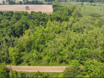 11 ACRES E Pq Avenue Climax, MI 49034