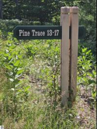 15 Pine Trace Glen Arbor, MI 49636