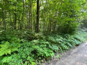 LOT 218 Ute Lane Millersburg, MI 49759