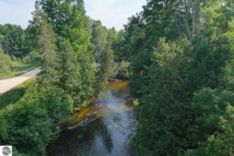 LOT 1 Leisure Drive Thompsonville, MI 49683