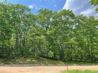 LOT #83 Sitzmark Drive Spruce, MI 48762