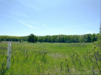 TBD Ottawa Trail 10 ACRES Brutus, MI 49716