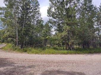 Rainy Lake Road LOT 1 Millersburg, MI 49759