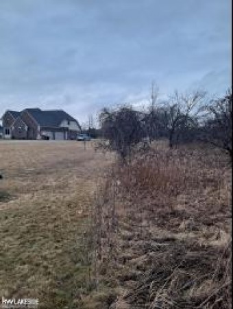 68230 Hillside Washington Township, MI 48095