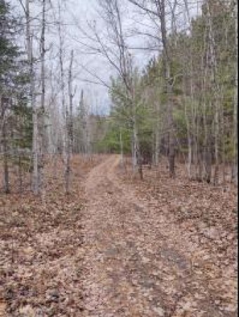 M68/33 Highway STREAMFRONT ACREAGE Onaway, MI 49765