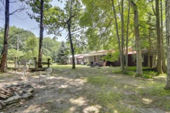 6504 Van Tassel Trail Indian River, MI 49749