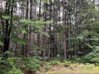 LOT 18 Lady Slipper Drive Fairview, MI 48621